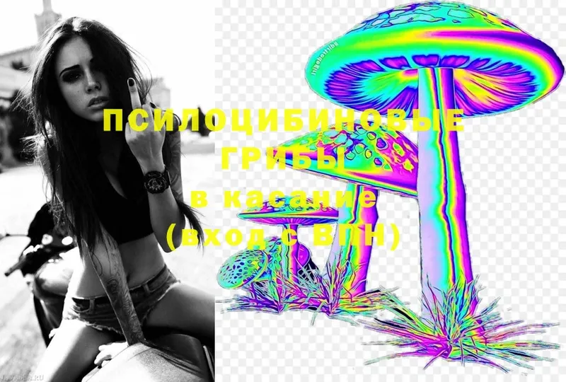 Галлюциногенные грибы Psilocybe  Анадырь 